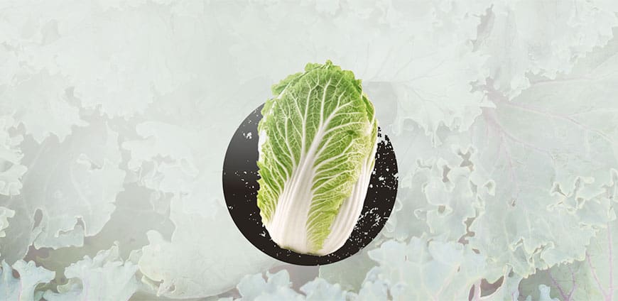 wintergemuese-07-slider