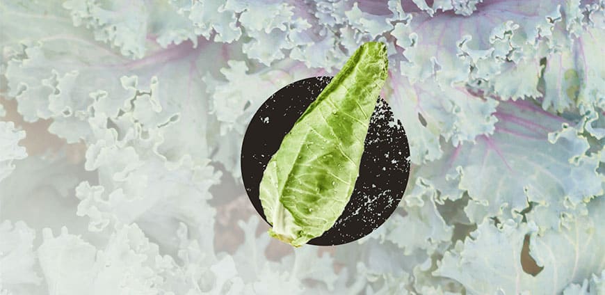 wintergemuese-10-slider