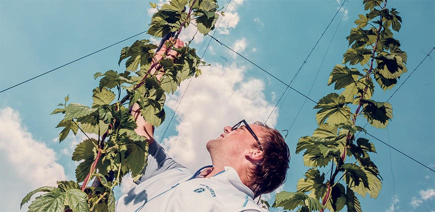 rp238_PIP-Thalheimer_slider3