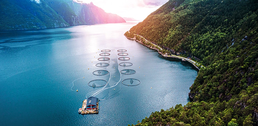 rp238_aquakulturen_slider