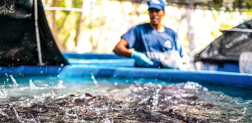 rp238_aquakulturen_slider2