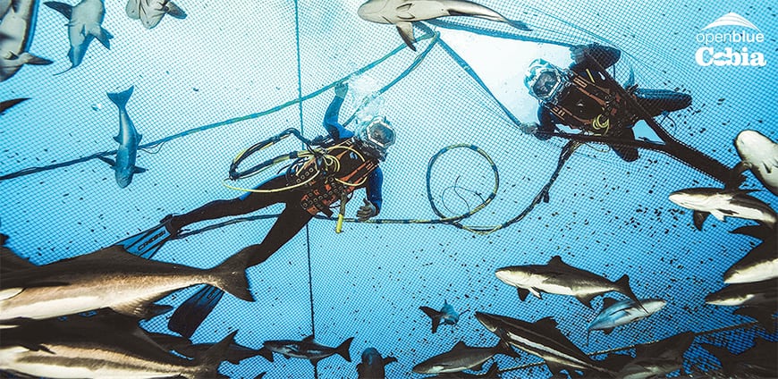 rp238_aquakulturen_slider6