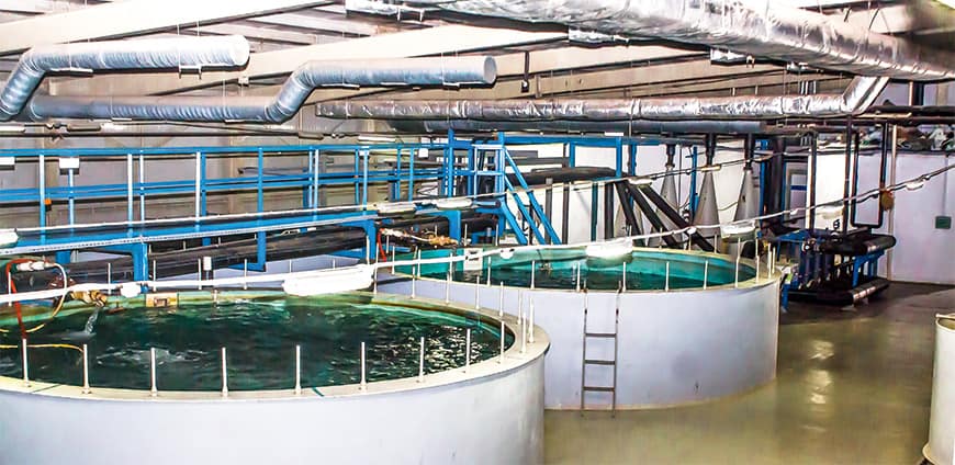 rp238_aquakulturen_slider7