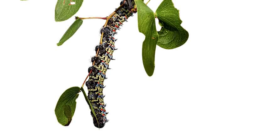 rp239_wuermer_slider3