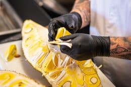 RP241-fb-jack-fruit-5-260x173