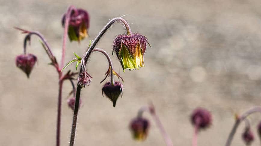 csm_rp235-MD-slider11_5e0dbb433b