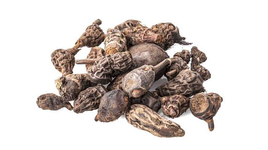 csm_rp235-MD-slider3_1504b9470d