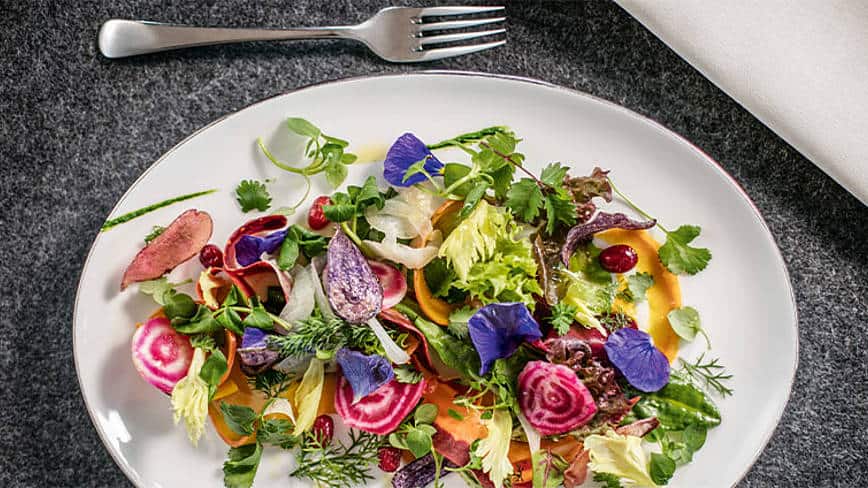 csm_rp235-rapa-at-aufsteiger-slider2_7573743898