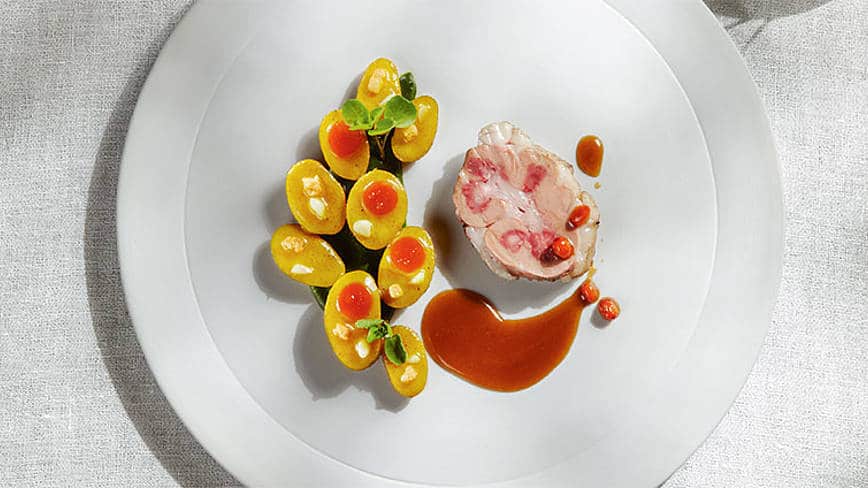 csm_rp235-rapa-at-sous-chef-slider4_00a9dbf67e