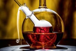 RP242-sip-mario-hofferer-6-260x173