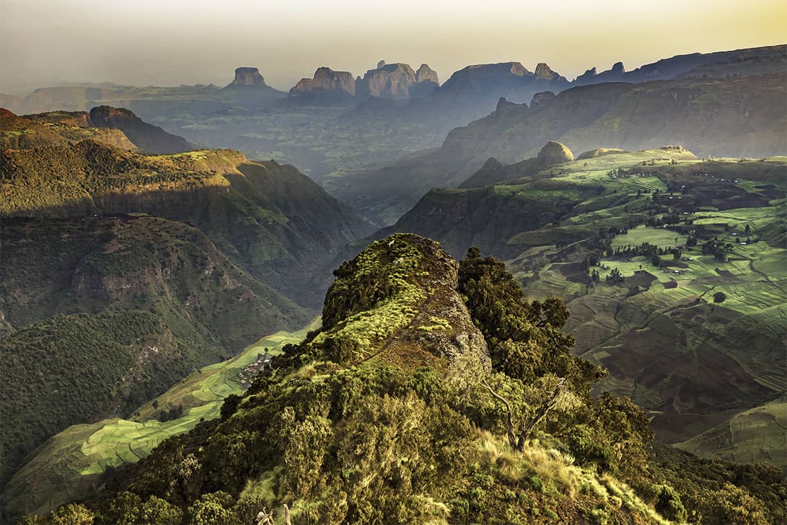 RP244-pip-afro-coffee-2