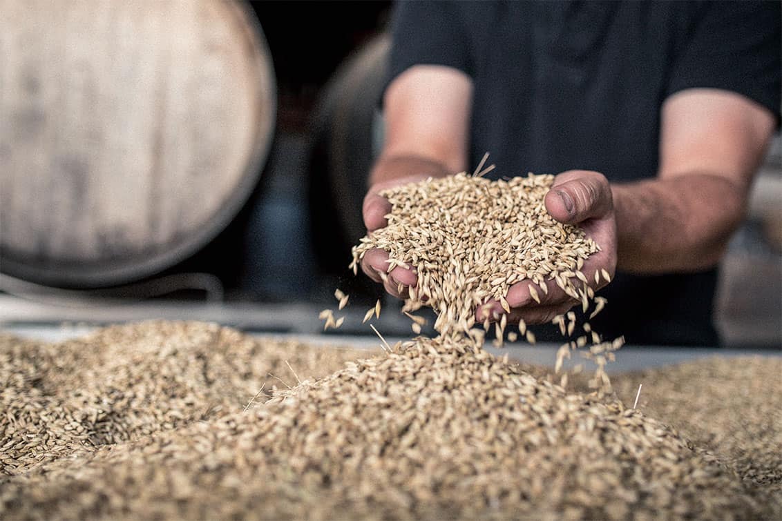 rp245-pip-dido-kabumm-vodka-4