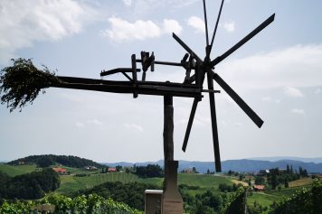 IMG_20210726_145001-356x237