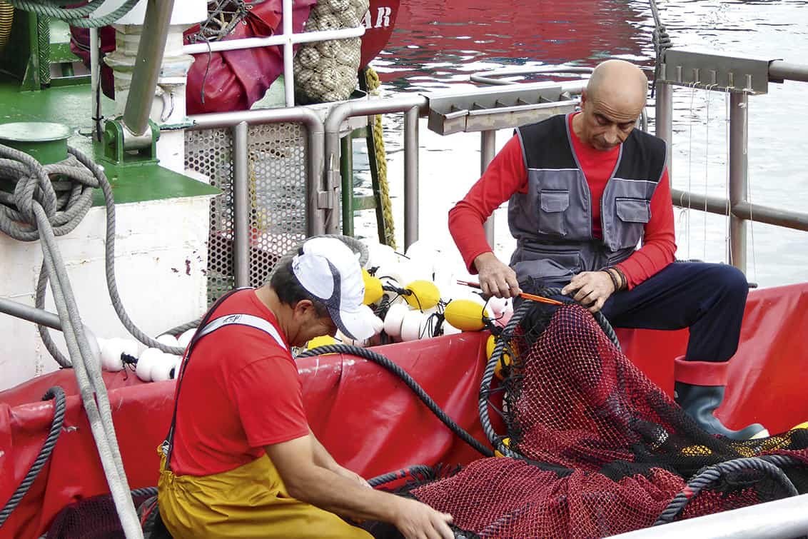 rp-262-fb-sardinen-7