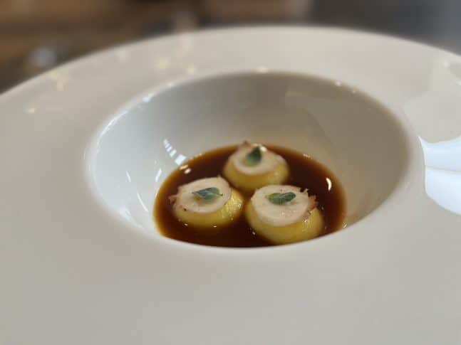 IMG_2348-scaled-e1646215499156