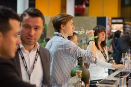 BOBB8537-scaled-e1653657066845-260x173