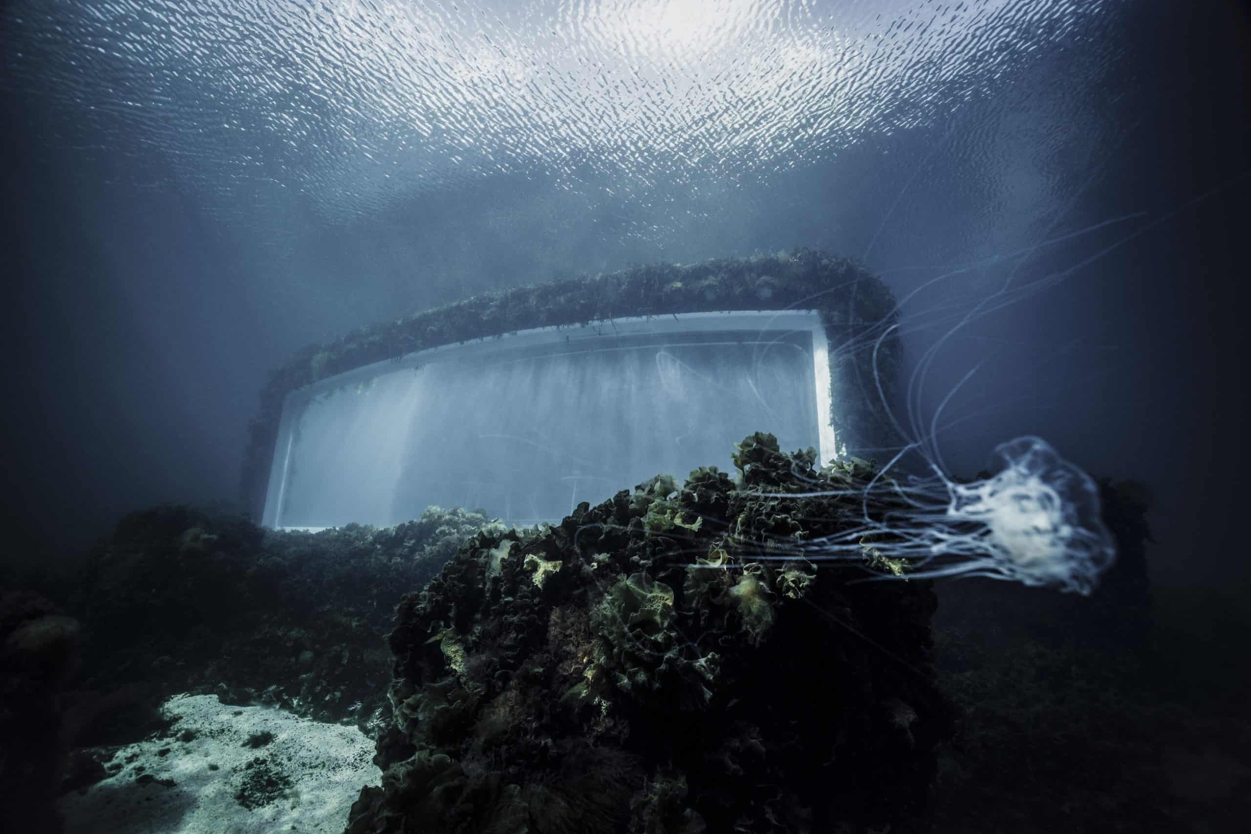 under-norway-1-scaled