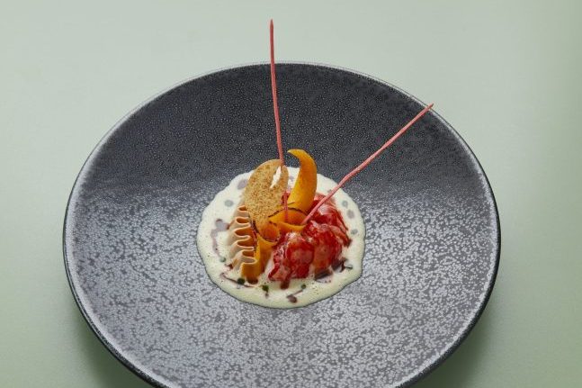 Ikarus_Team_RP_3_009-scaled-e1659959416782