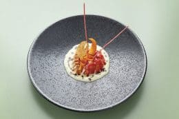 rp268-cotm-martin-klein-1-260x173