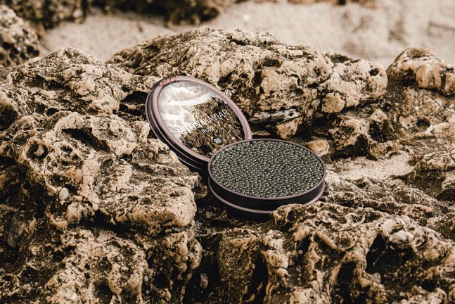 rp268-pr-gustav-ruesch2-e1662557145166