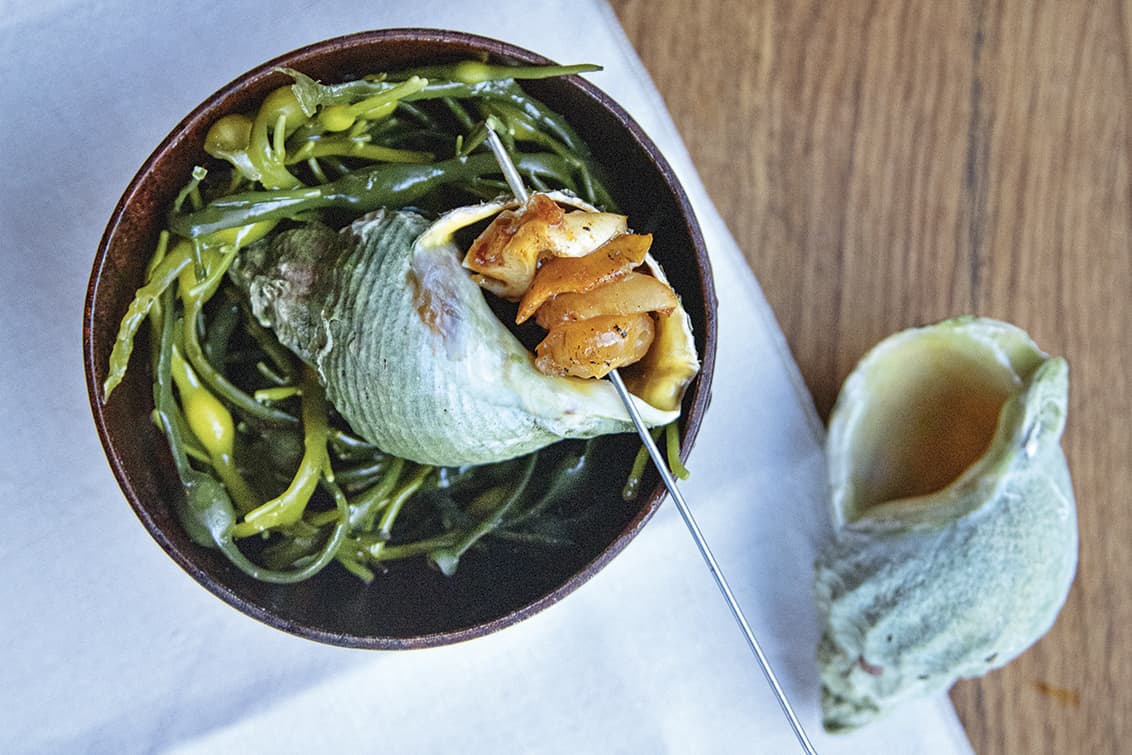 rp269-cotm-Heidi-Bjerkan-6