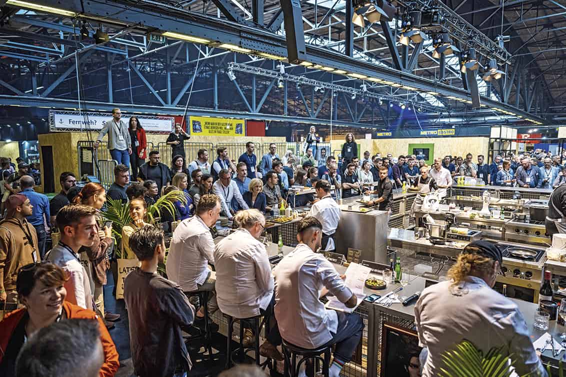 rp269-cs-jungewilde-6