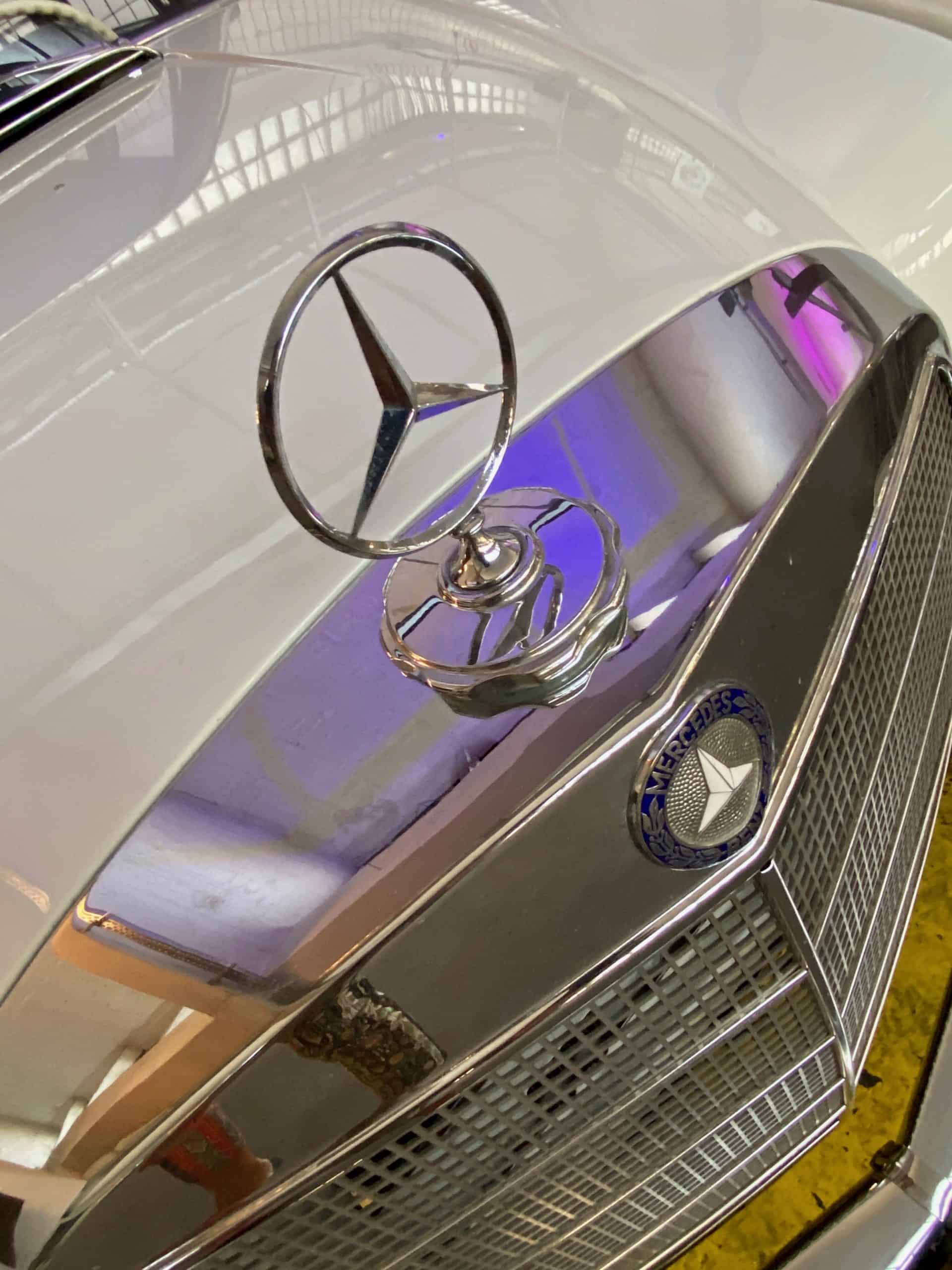 Schraubenkobel-10-scaled