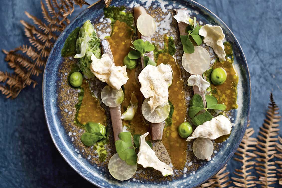 rp270-cotm-schraml-3