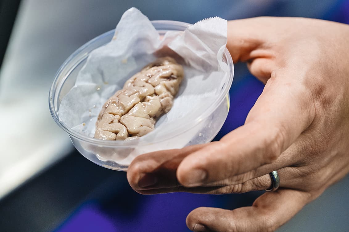 rp271-spst-rpc-chefdays-20