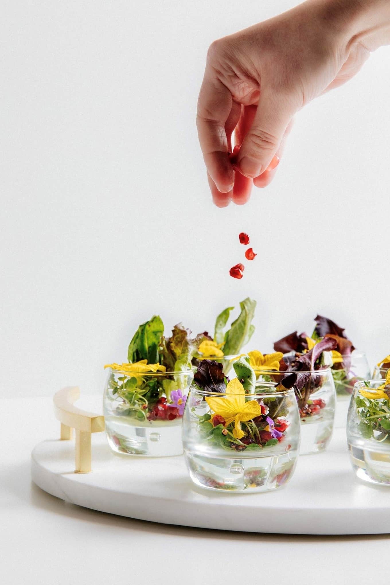 Oscars2023_11_NeuesOscargerichtvegan