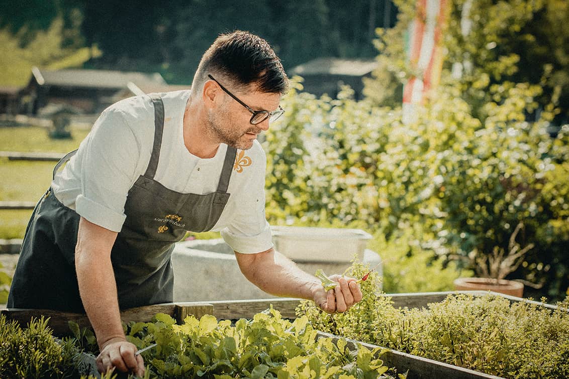 rp274-hip-grafen-moltke-2