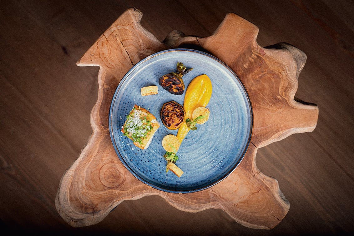 rp274-hip-grafen-moltke-3