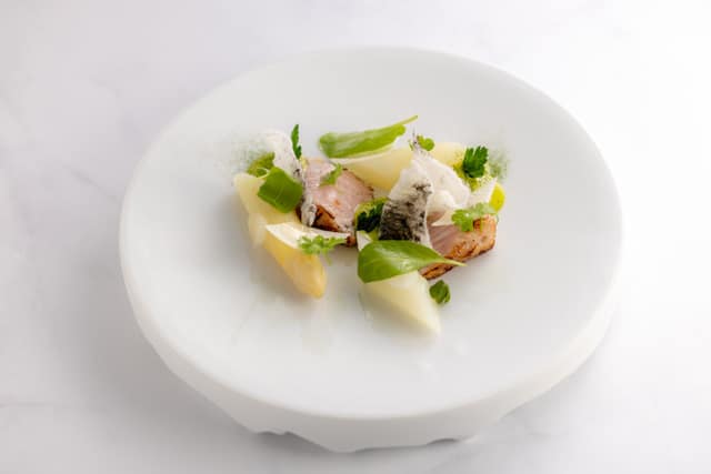 white-asparagus-kamatoro-paloise