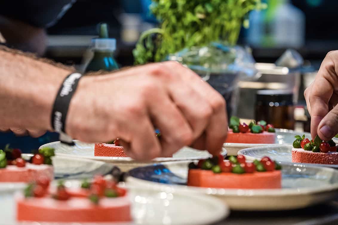 rp277-cs-jungewilde-7