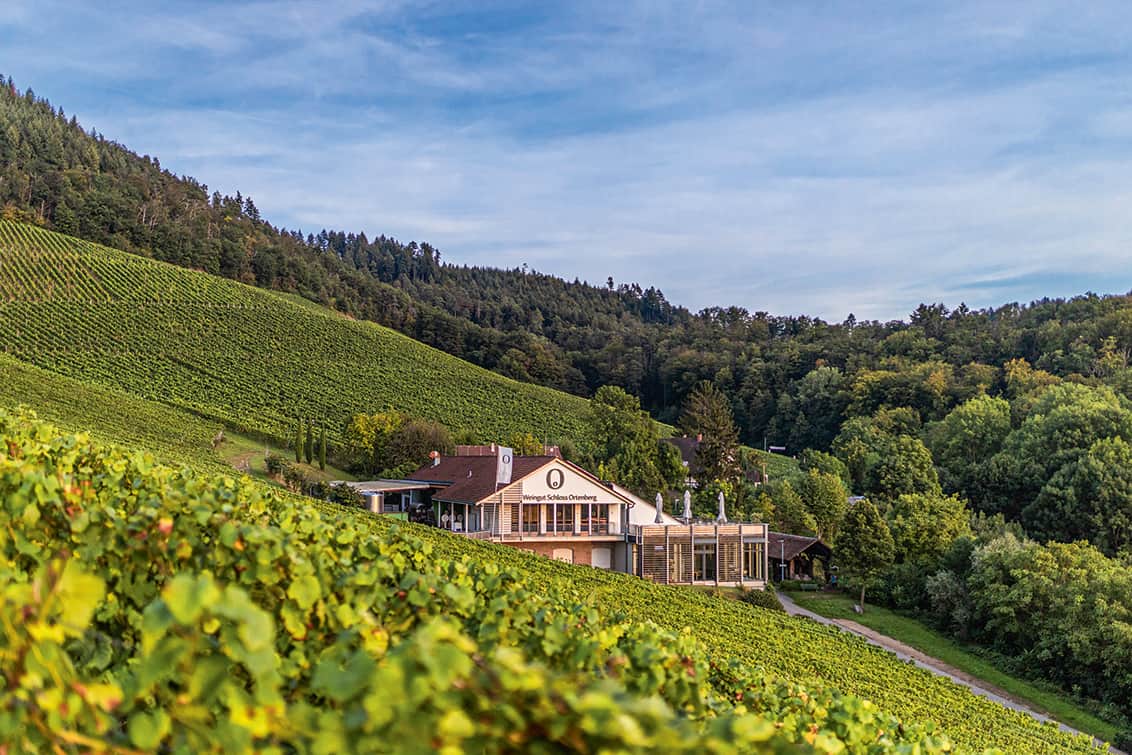 rp277-spst-Thomas-Althoff-3