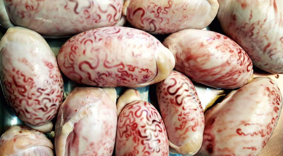 shutterstock_1314784529