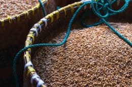 rp280-fb-myriam-ettahri-10-260x173