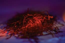 rp280-fb-myriam-ettahri-7-260x173