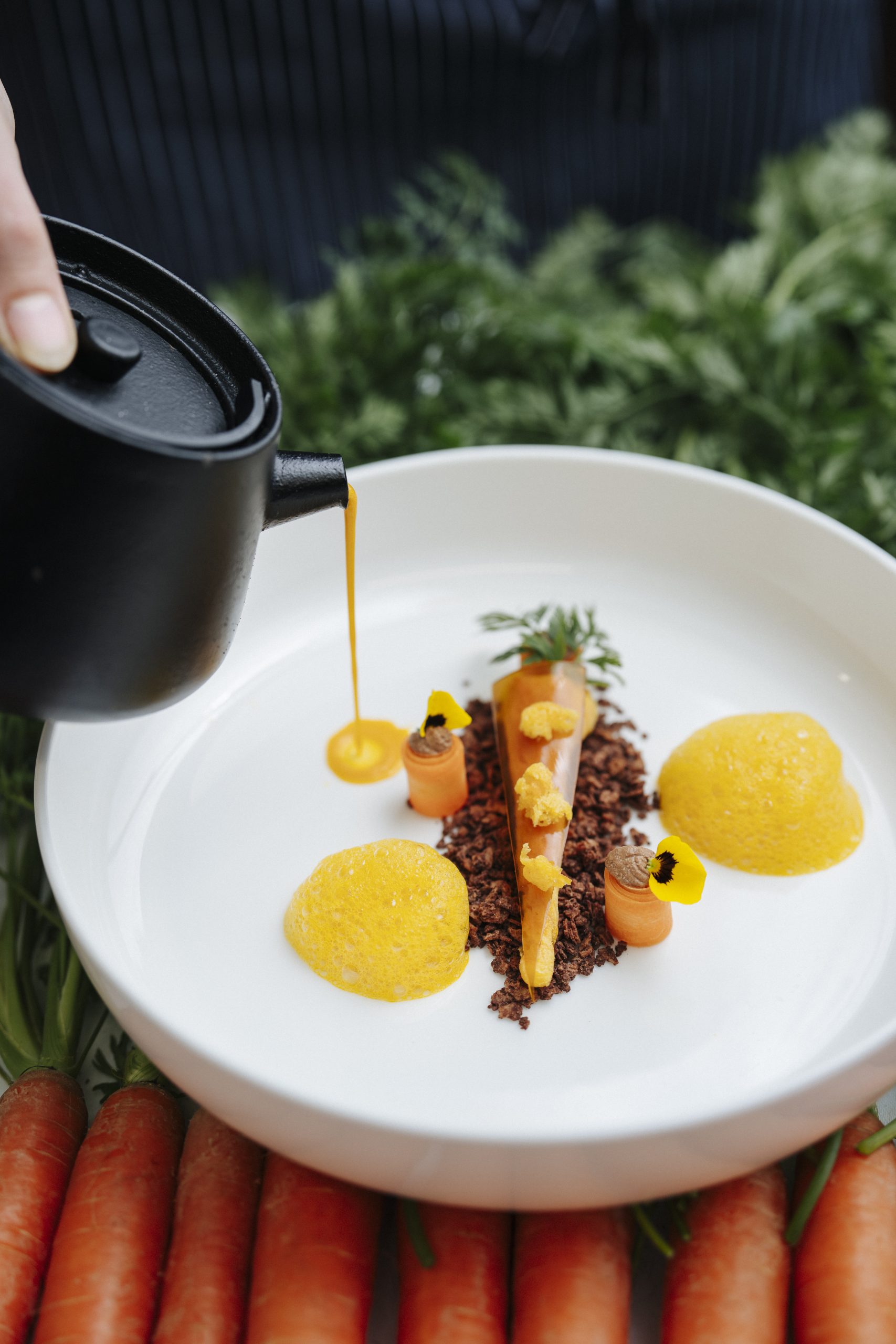 1429_Sinja-Merle-3-scaled