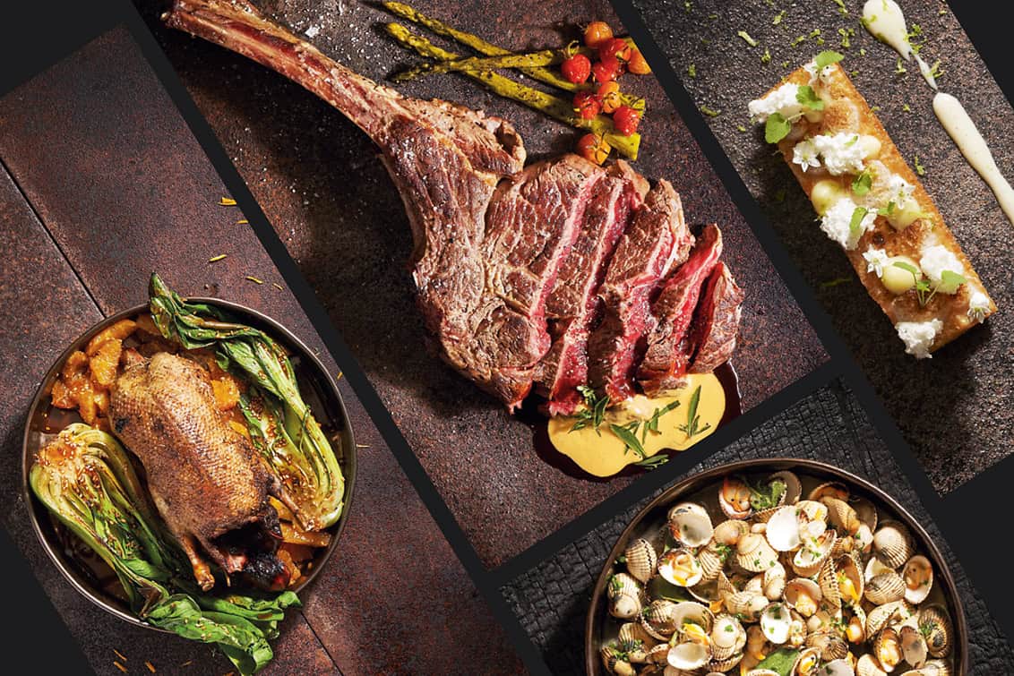 rp286-lit-delta-fleisch-2