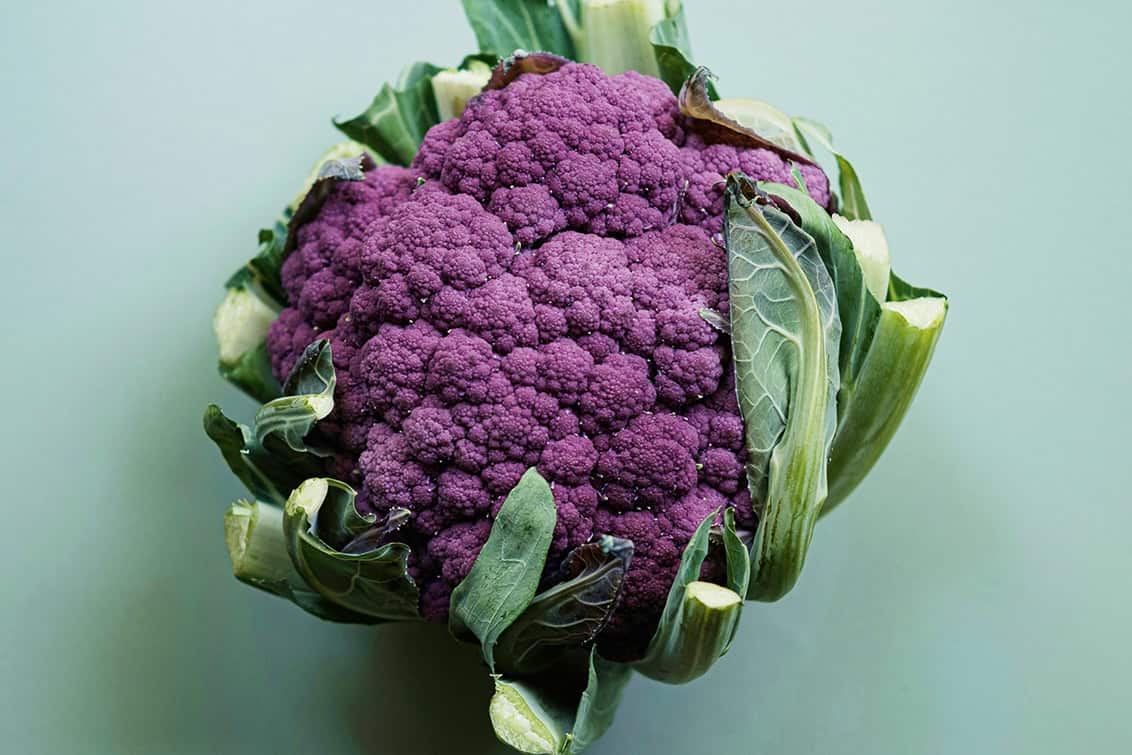 rp287-fb-marktgaertnereien-6