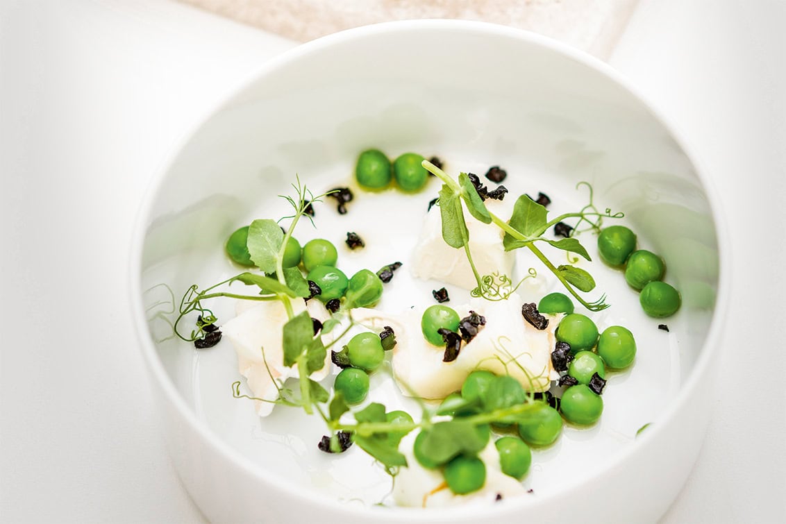 rp287-inspi-amador-12