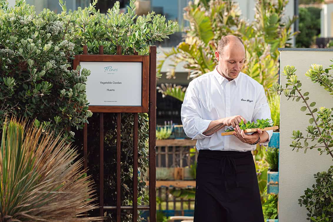 rp287-spst-bardia-torabi-6