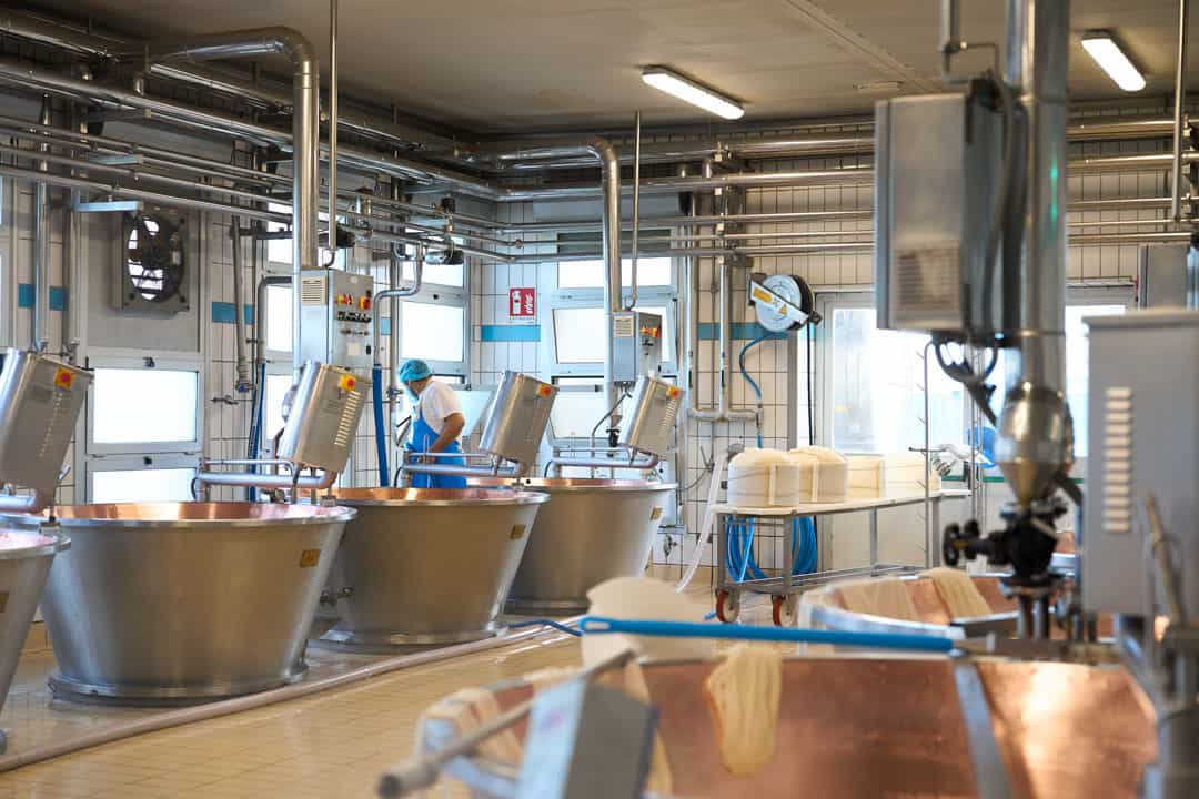 2025.04.01.METRO_Zanetti_DSC00245