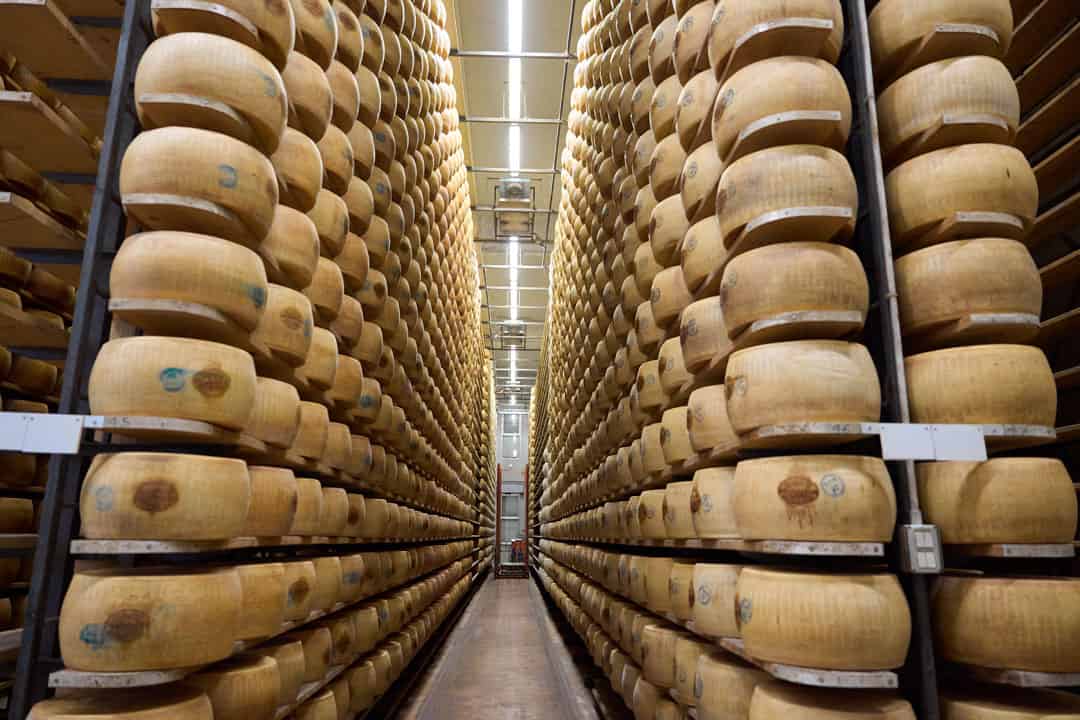 2025.04.01.METRO_Zanetti_DSC00447