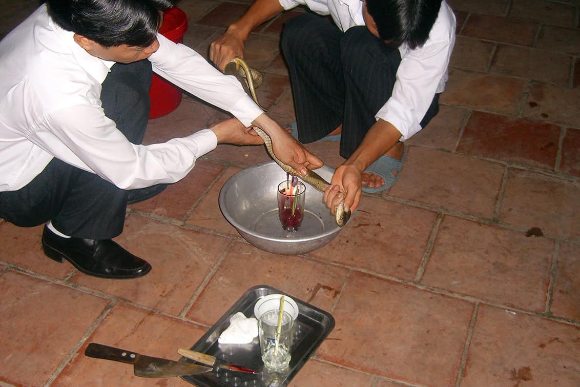 rp289-fb-max-stiegl-8