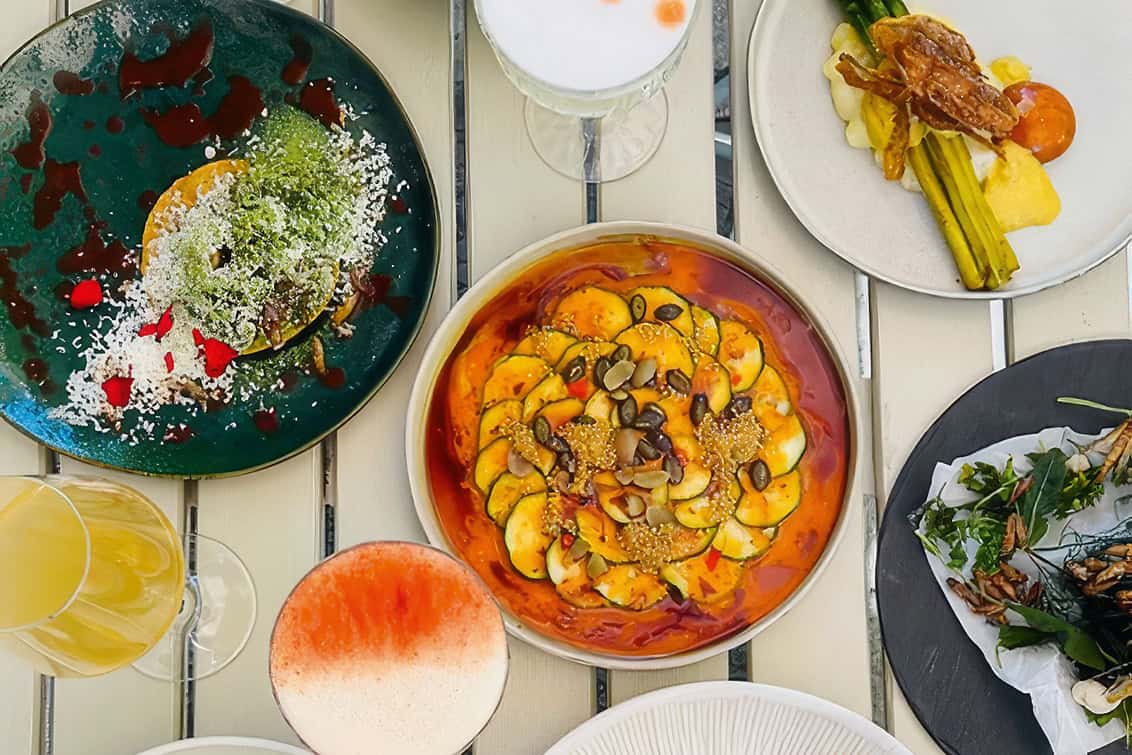 rp290-openings-mikrokosmos-11