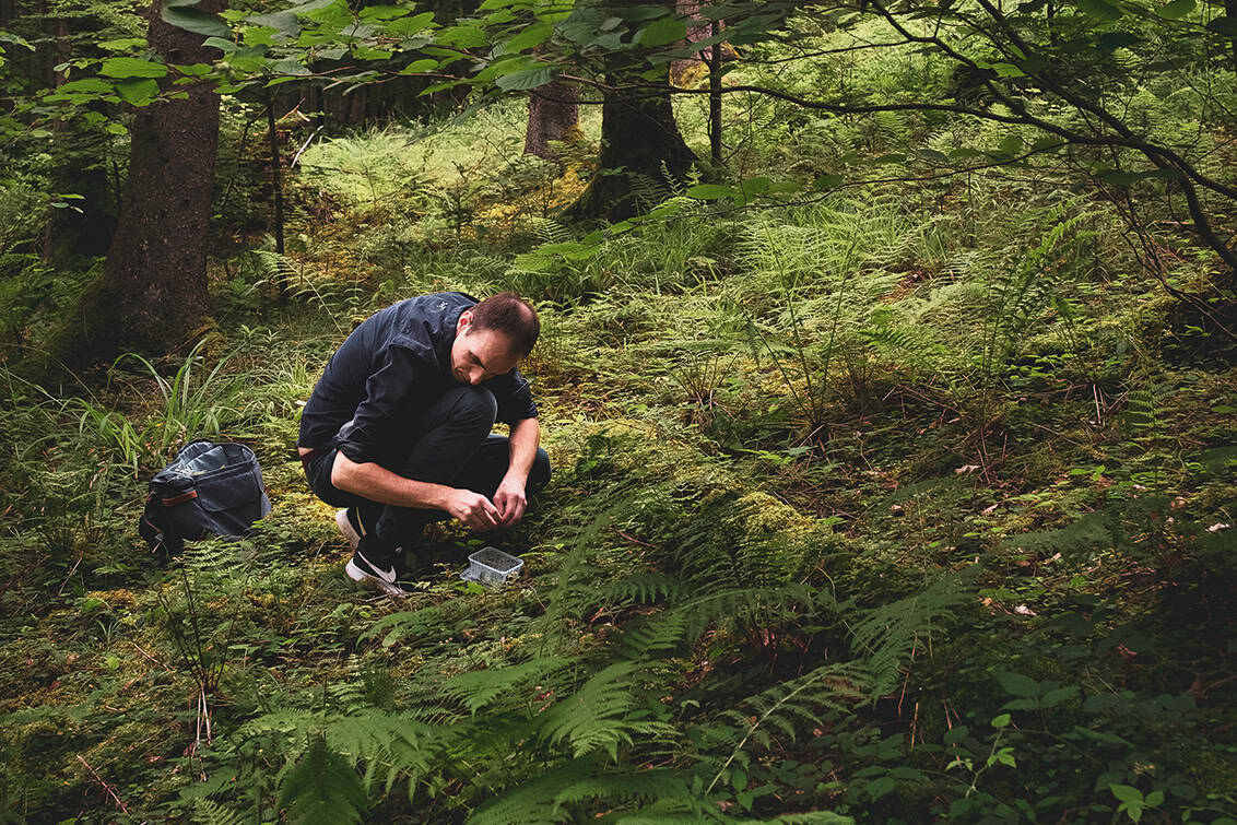 rp291-spst-non-alk-drinks-1