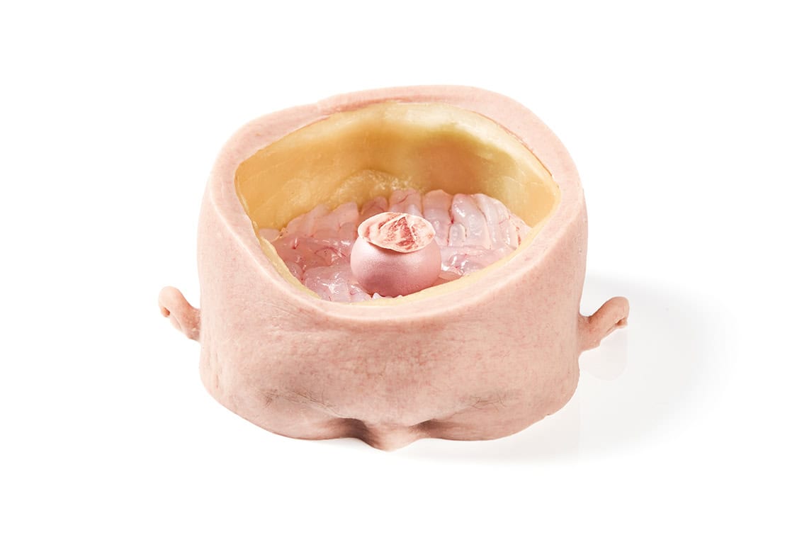 rp293-cs-alchemist-16