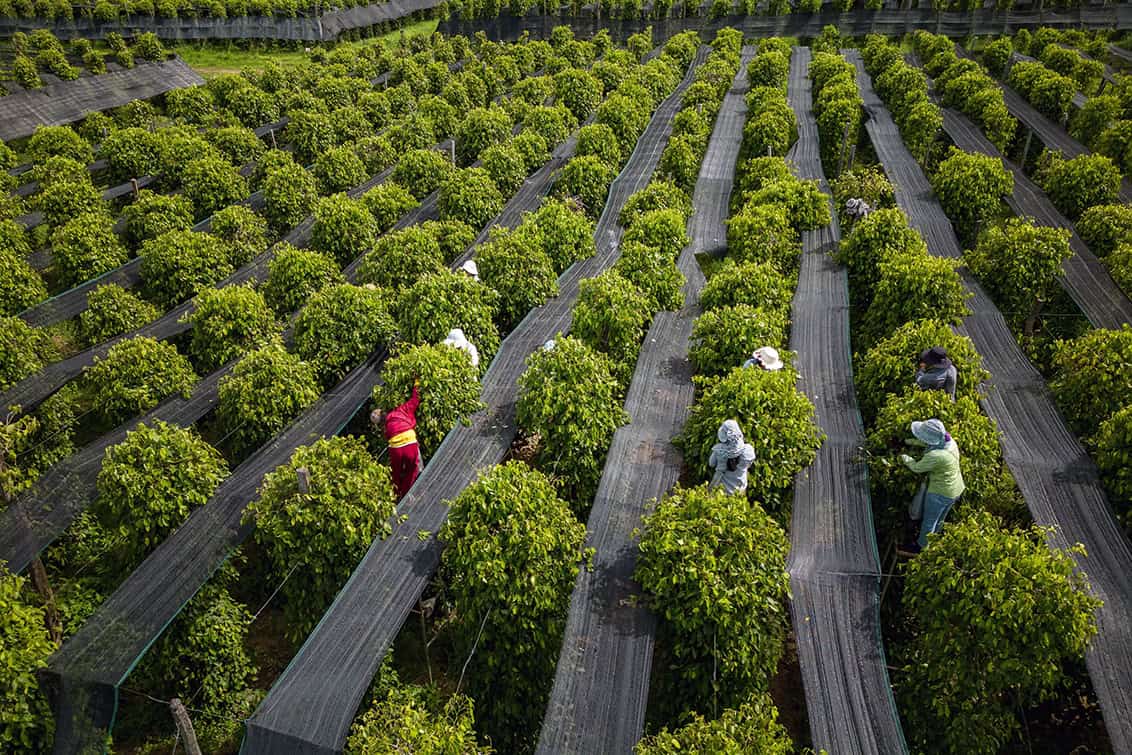 rp293-fb-kambodscha-2